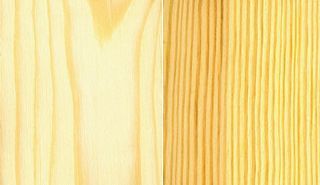 Verschillen Vuren en Grenen