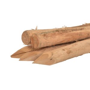 Robinia paal geschild gepunt 8-10cm