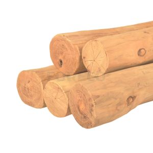 Robinia palen spintvrij geschuurd 15-19cm