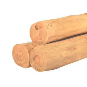 Robinia palen spintvrij geschuurd 20-24cm