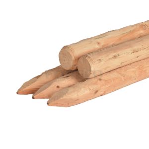 geschild, gepunt en gekruind, onbehandeld 8-10cm.jpg