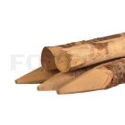 Kastanje geschild, gepunt 12-14.jpg