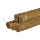 Vuren pionierpaal, geschild, haaks, groen geïmpegneerd punt 8cm.jpg