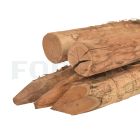 Robinia paal geschild en gepunt kop diameter 12 14cm