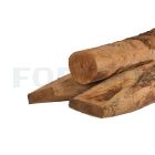 kastanje geschild, haaks, gepunt 14-16.jpg